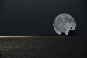 소피아 곽 Wish#1 Sophia K. Photo